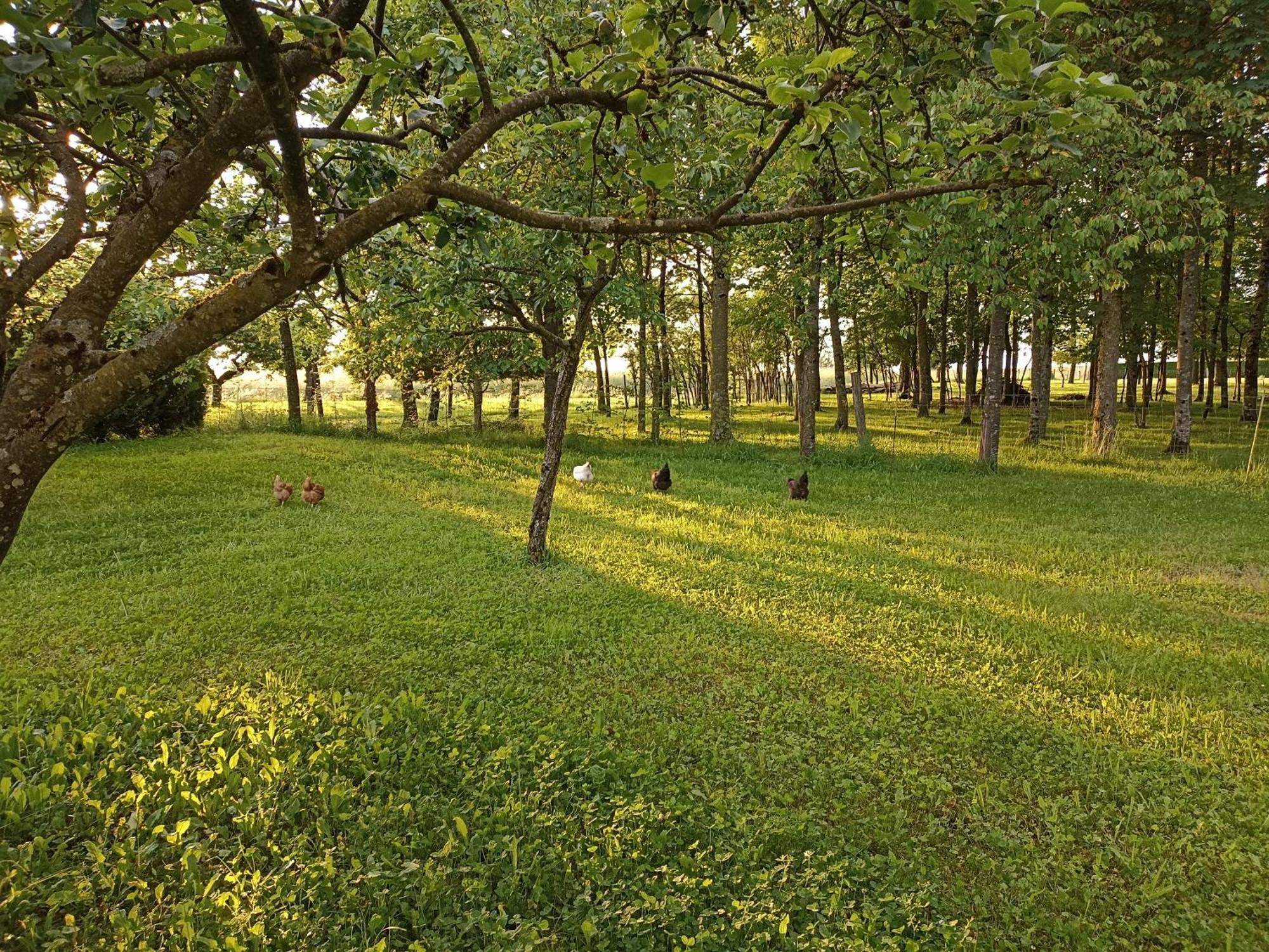 Gite Nature Et Detente Aubréville Buitenkant foto