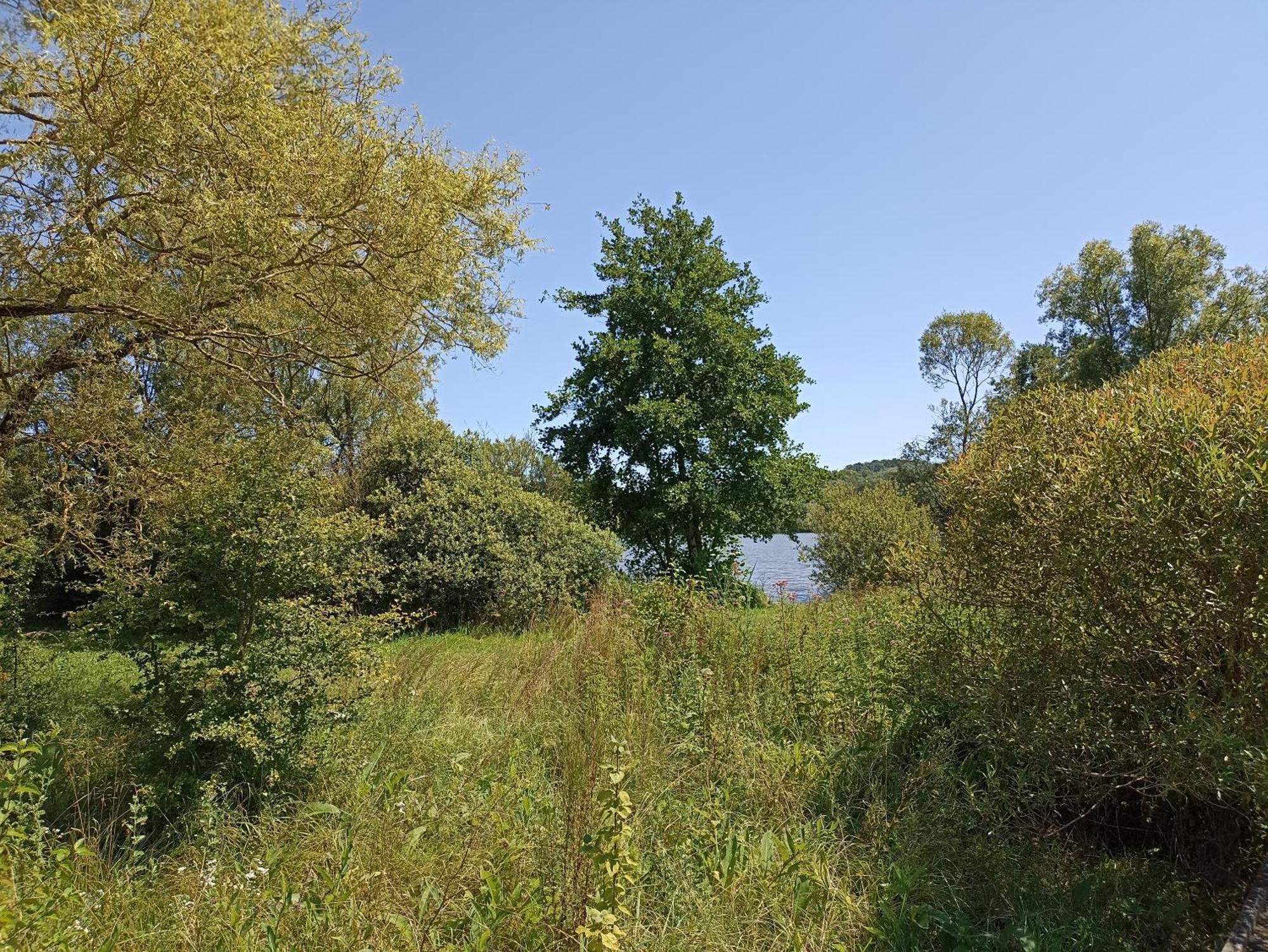 Gite Nature Et Detente Aubréville Buitenkant foto