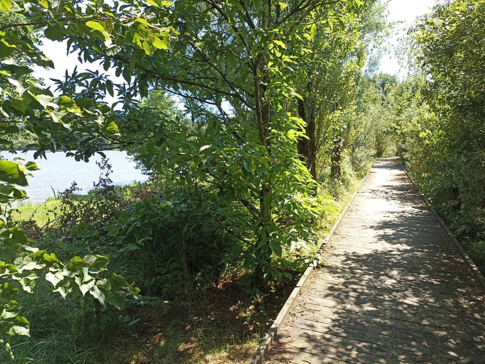 Gite Nature Et Detente Aubréville Buitenkant foto