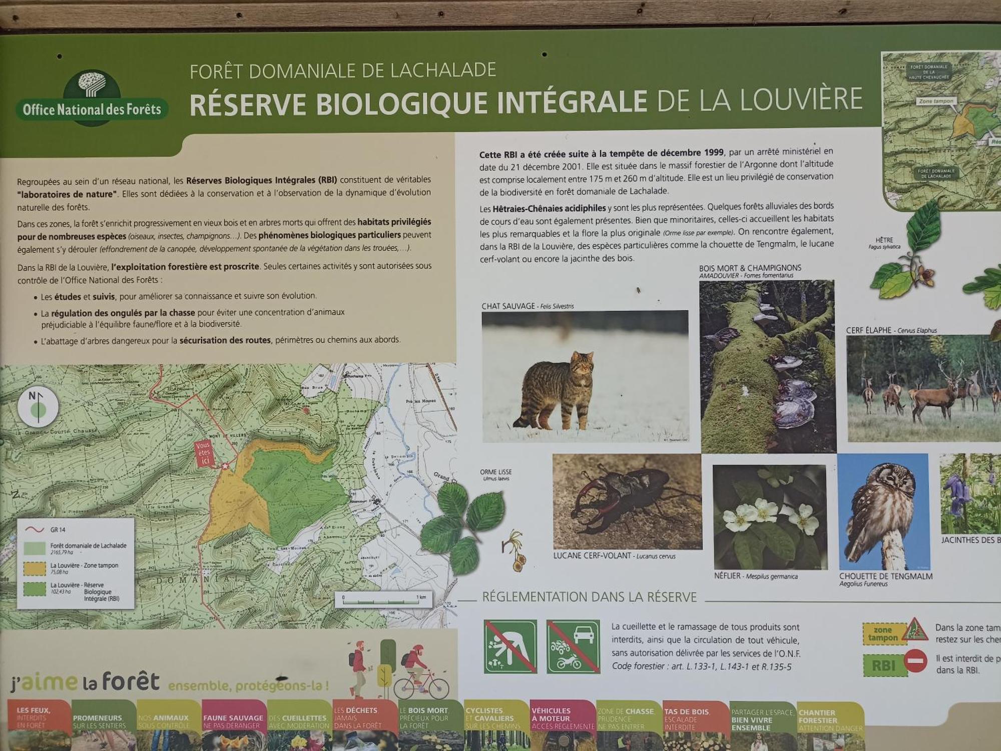 Gite Nature Et Detente Aubréville Buitenkant foto