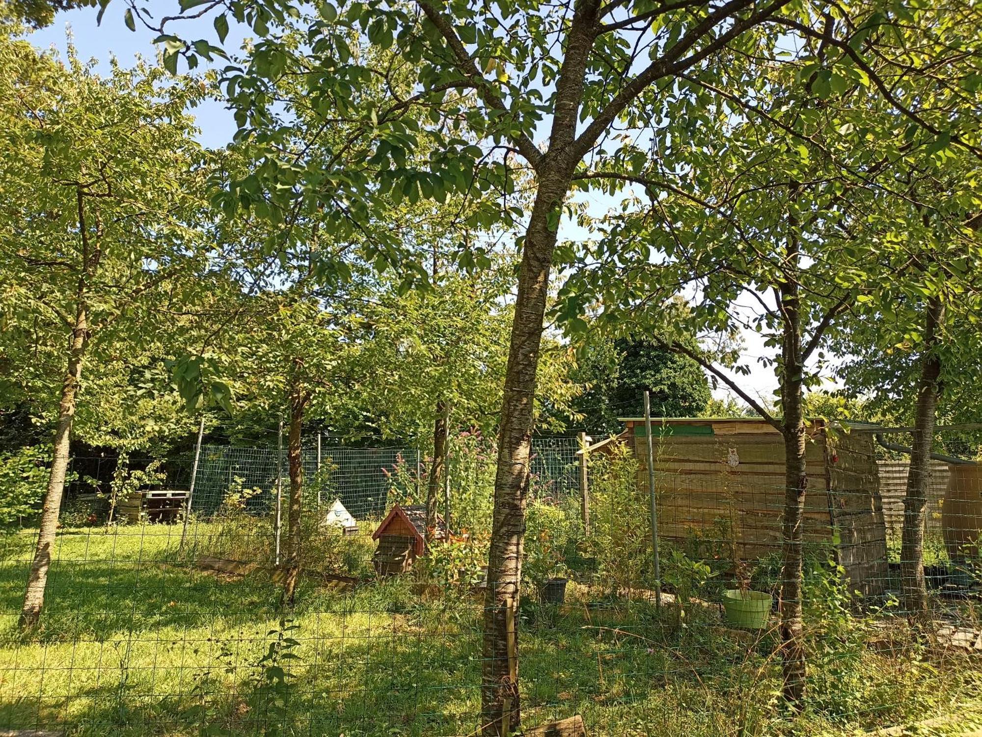 Gite Nature Et Detente Aubréville Buitenkant foto