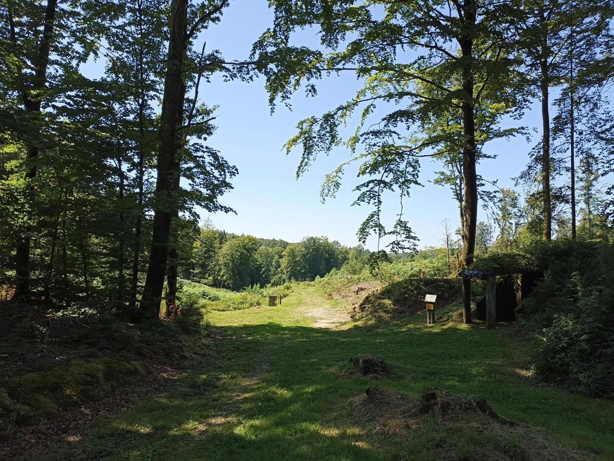 Gite Nature Et Detente Aubréville Buitenkant foto