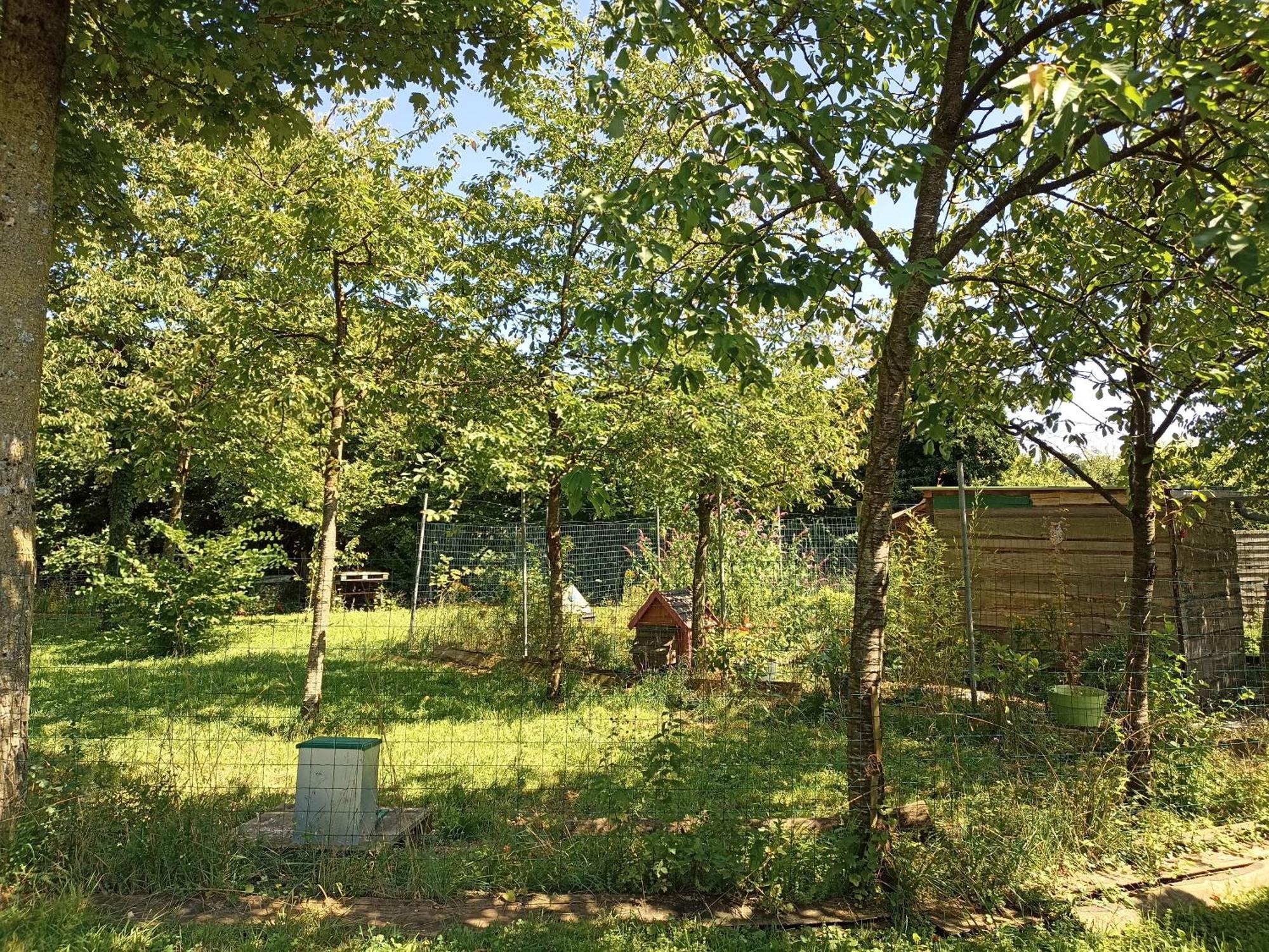 Gite Nature Et Detente Aubréville Buitenkant foto