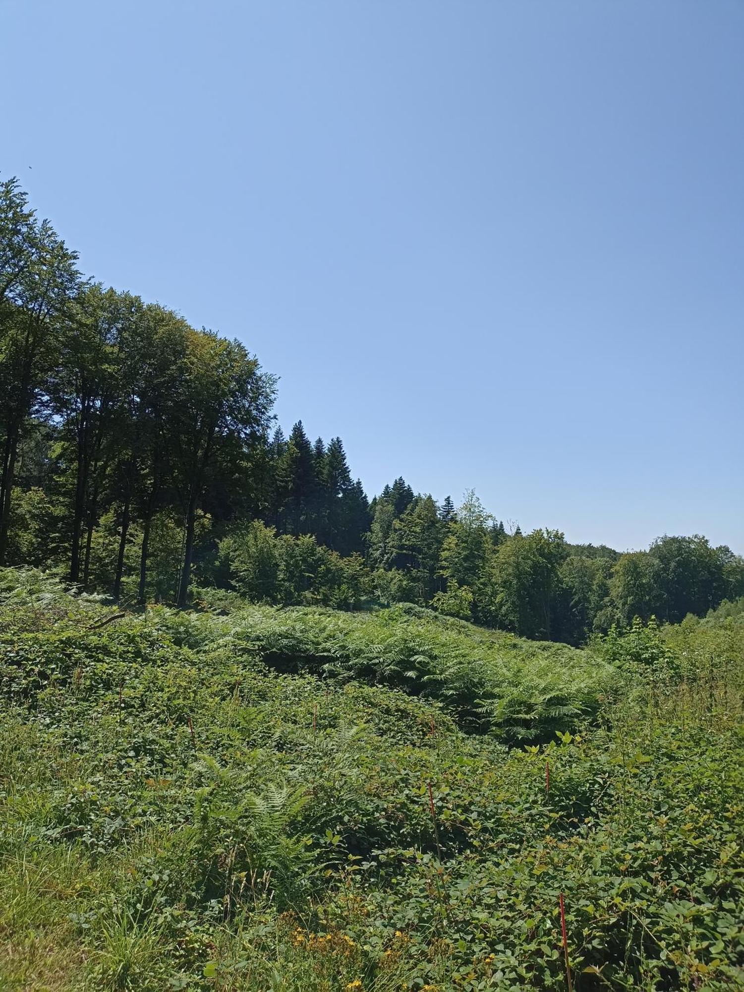 Gite Nature Et Detente Aubréville Buitenkant foto