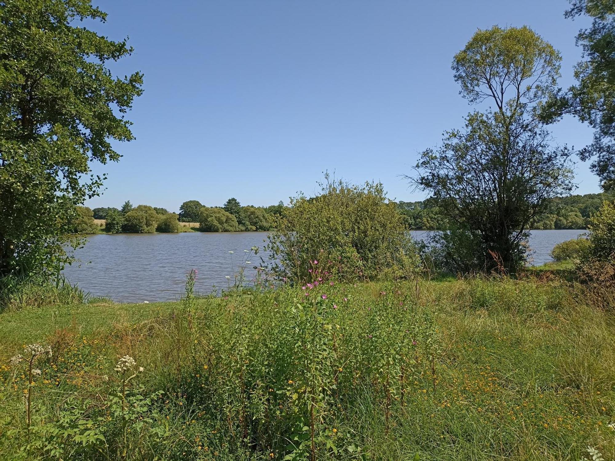 Gite Nature Et Detente Aubréville Buitenkant foto