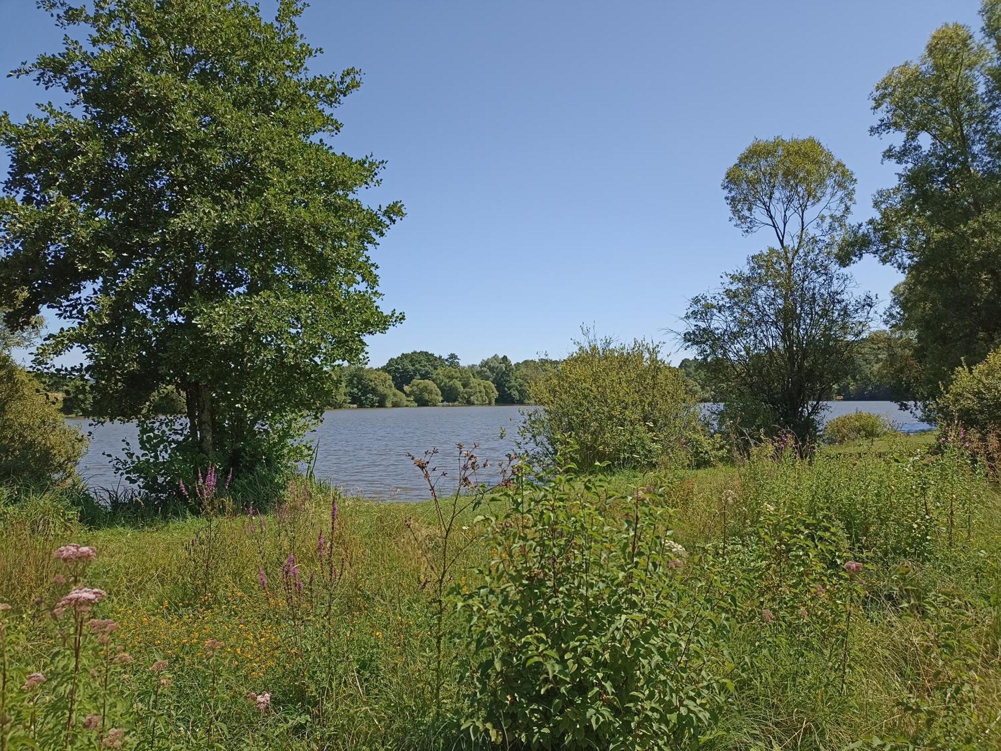 Gite Nature Et Detente Aubréville Buitenkant foto