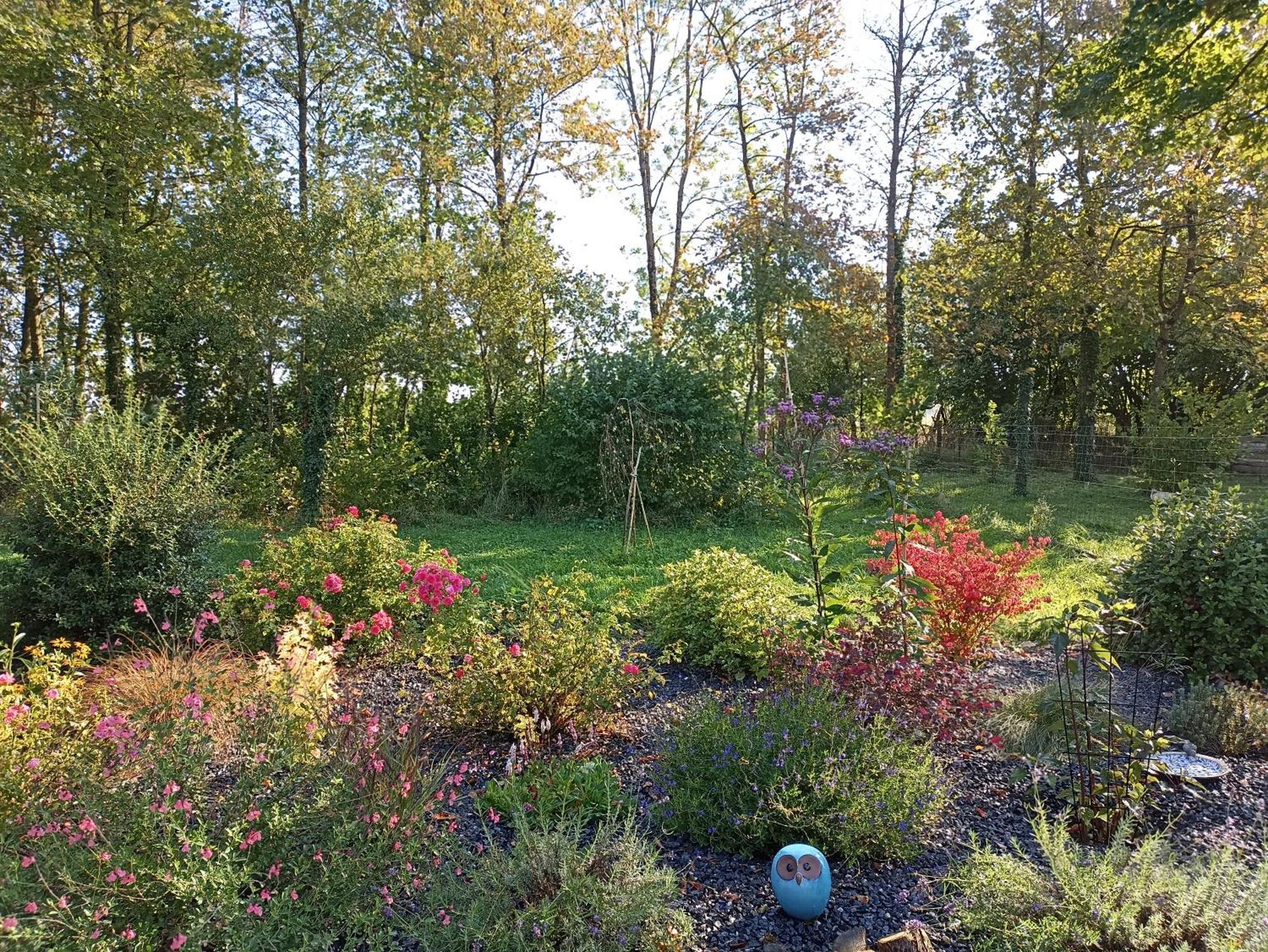Gite Nature Et Detente Aubréville Buitenkant foto