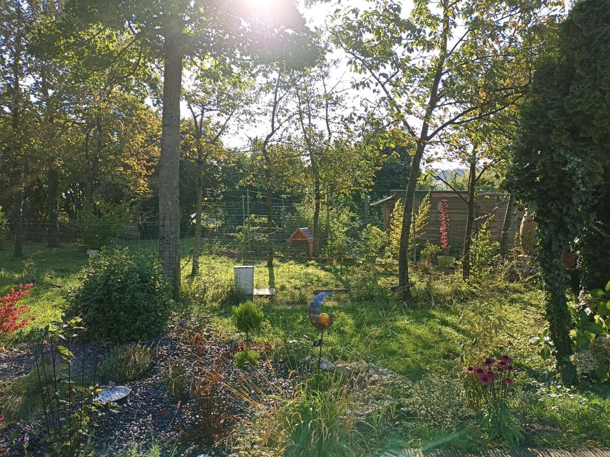 Gite Nature Et Detente Aubréville Buitenkant foto