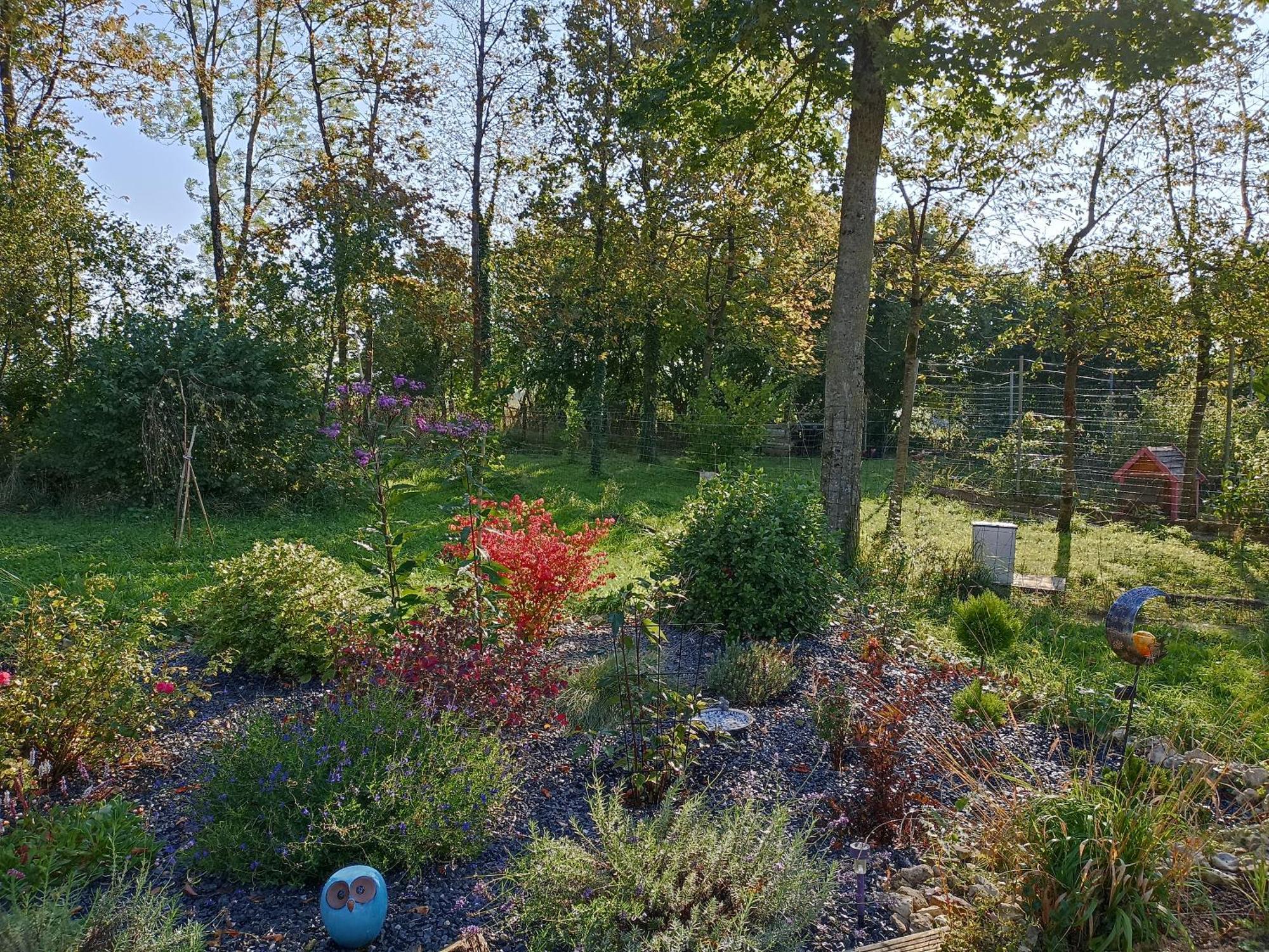 Gite Nature Et Detente Aubréville Buitenkant foto